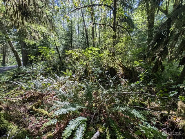 $139,000 | 99992 Dowan Creek Road, Forks, WA 98331