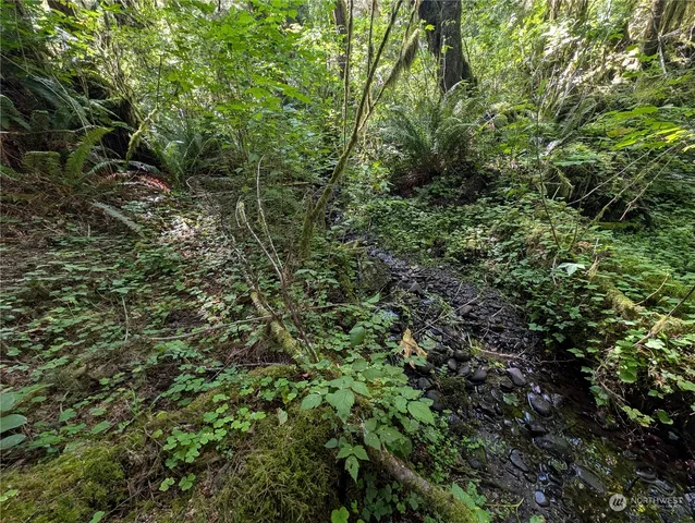 $139,000 | 99992 Dowan Creek Road, Forks, WA 98331