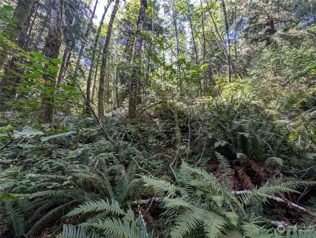 $139,000 | 99992 Dowan Creek Road, Forks, WA 98331