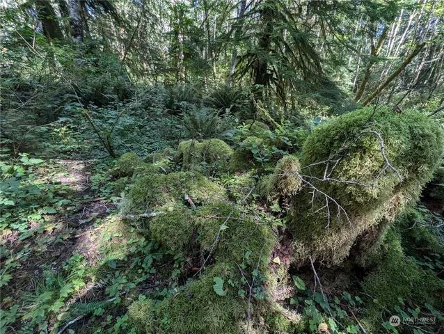 $139,000 | 99992 Dowan Creek Road, Forks, WA 98331