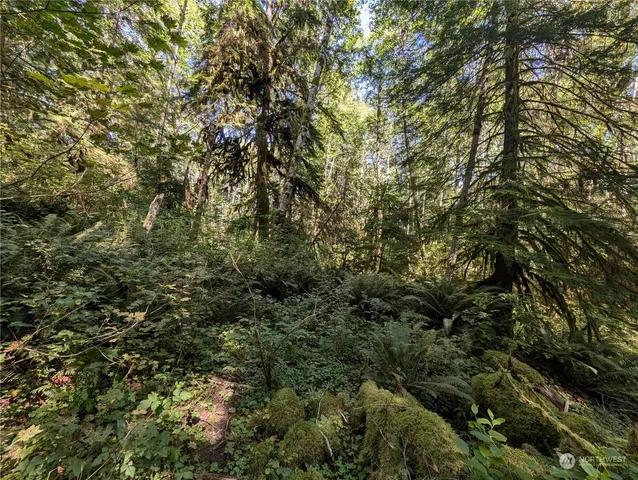 $139,000 | 99992 Dowan Creek Road, Forks, WA 98331