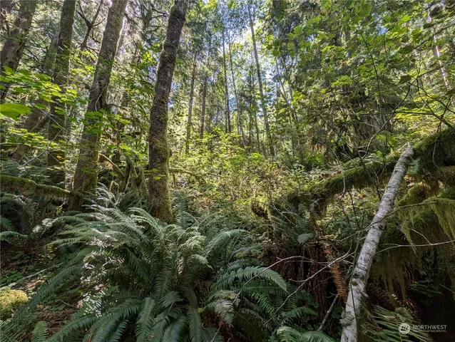 $139,000 | 99992 Dowan Creek Road, Forks, WA 98331