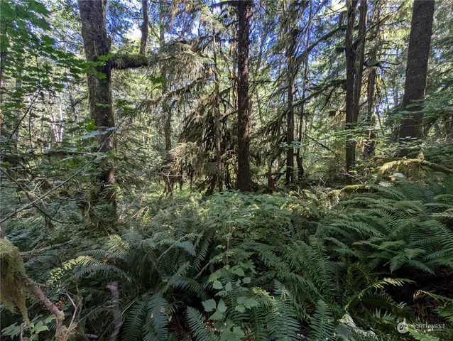 $139,000 | 99992 Dowan Creek Road, Forks, WA 98331