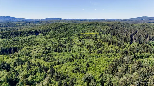 $139,000 | 99992 Dowan Creek Road, Forks, WA 98331