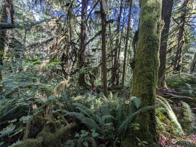 $139,000 | 99992 Dowan Creek Road, Forks, WA 98331