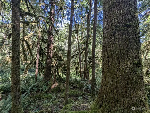 $139,000 | 99992 Dowan Creek Road, Forks, WA 98331