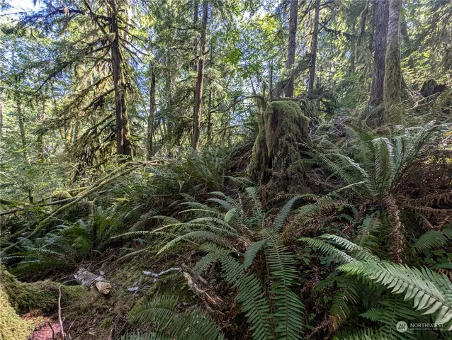 $139,000 | 99992 Dowan Creek Road, Forks, WA 98331