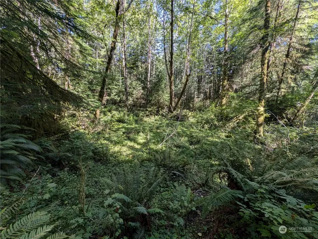 $139,000 | 99992 Dowan Creek Road, Forks, WA 98331