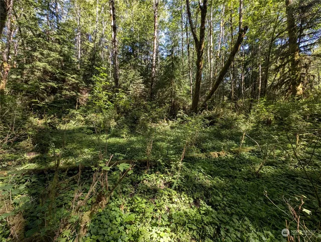 $139,000 | 99992 Dowan Creek Road, Forks, WA 98331
