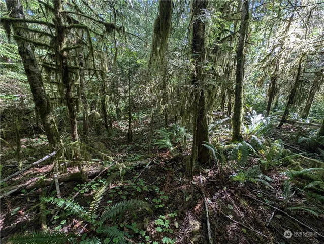 $139,000 | 99992 Dowan Creek Road, Forks, WA 98331