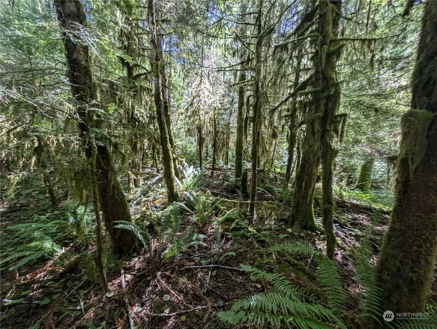 $139,000 | 99992 Dowan Creek Road, Forks, WA 98331