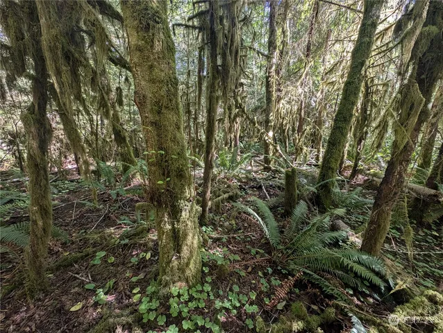 $139,000 | 99992 Dowan Creek Road, Forks, WA 98331