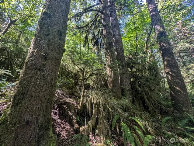 $139,000 | 99992 Dowan Creek Road, Forks, WA 98331