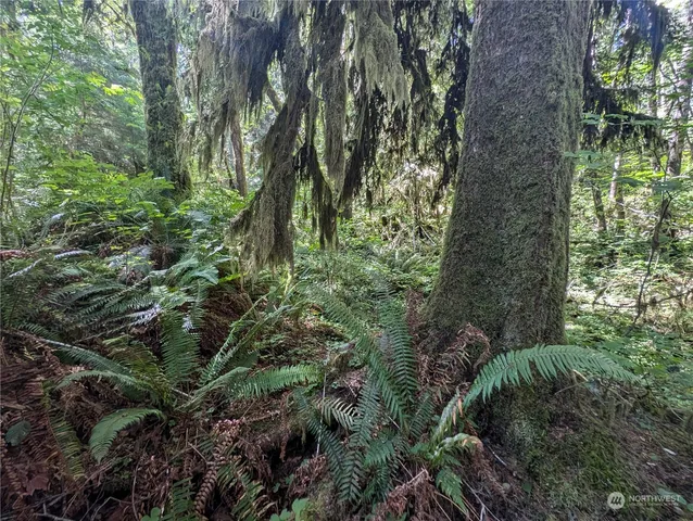 $139,000 | 99992 Dowan Creek Road, Forks, WA 98331