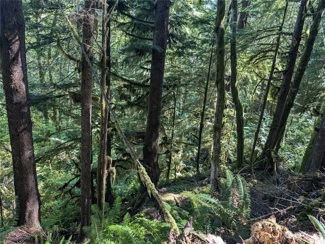 $139,000 | 99992 Dowan Creek Road, Forks, WA 98331