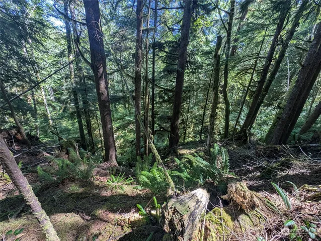 $139,000 | 99992 Dowan Creek Road, Forks, WA 98331