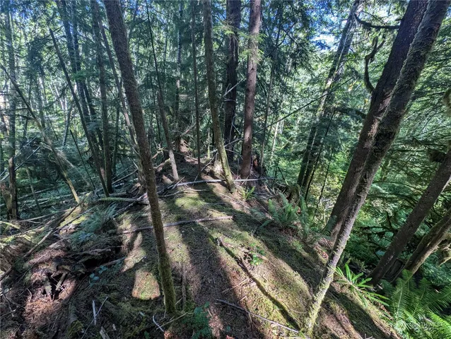 $139,000 | 99992 Dowan Creek Road, Forks, WA 98331