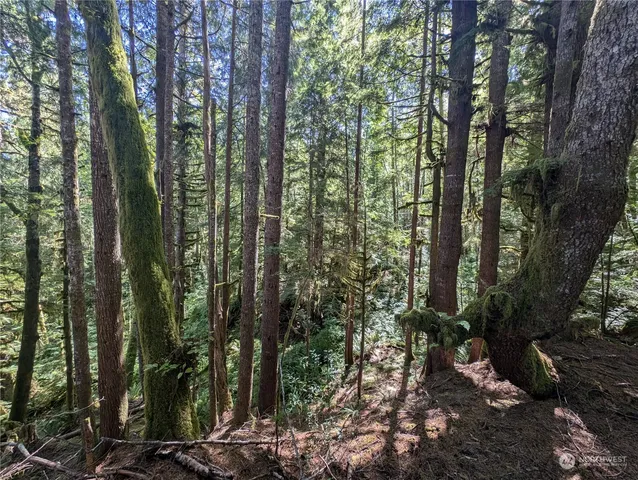 $139,000 | 99992 Dowan Creek Road, Forks, WA 98331