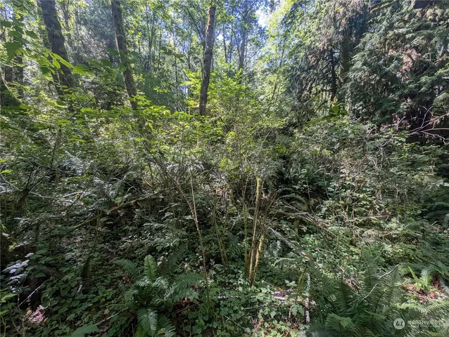 $139,000 | 99992 Dowan Creek Road, Forks, WA 98331