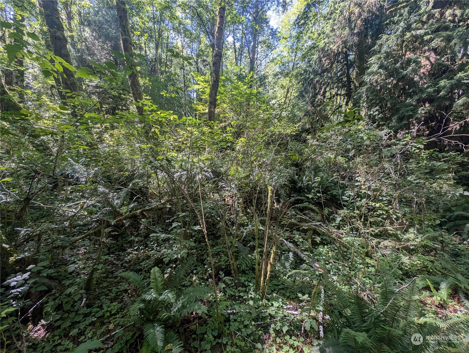99992 Dowan Creek Road Forks, WA 98331 - Photo 39 of 40