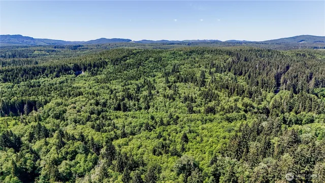 $139,000 | 99992 Dowan Creek Road, Forks, WA 98331