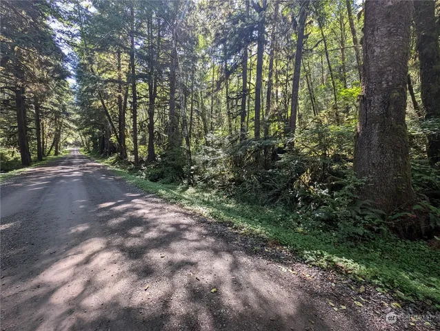 $139,000 | 99992 Dowan Creek Road, Forks, WA 98331