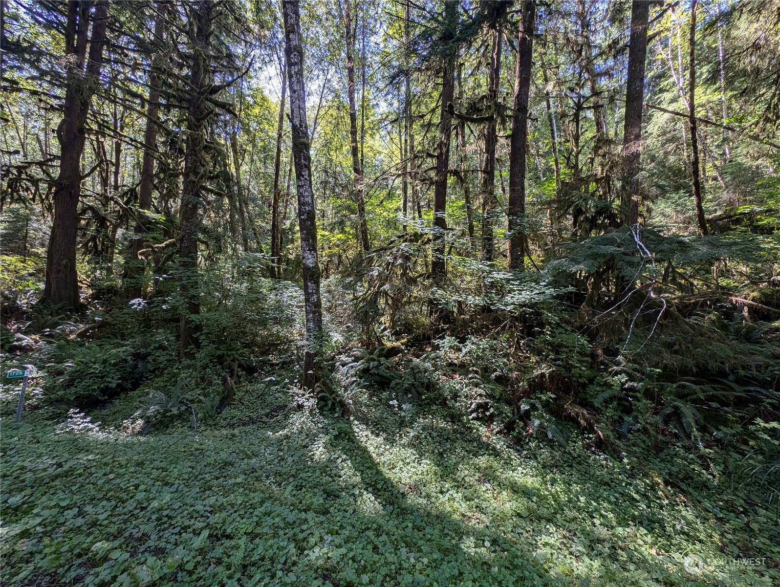 99992 Dowan Creek Road Forks, WA 98331 - Photo 8 of 40