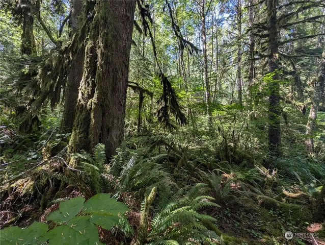 $139,000 | 99992 Dowan Creek Road, Forks, WA 98331