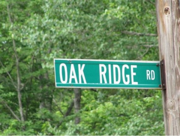 33 Oak Ridge Road Sandwich, NH 03227 - Photo 1 of 1