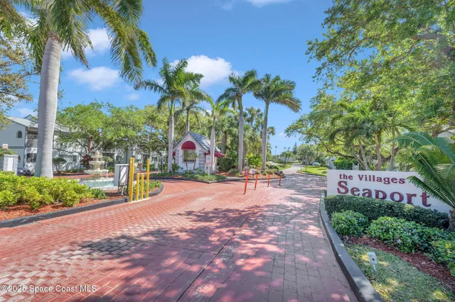 a view of a park with palm trees
