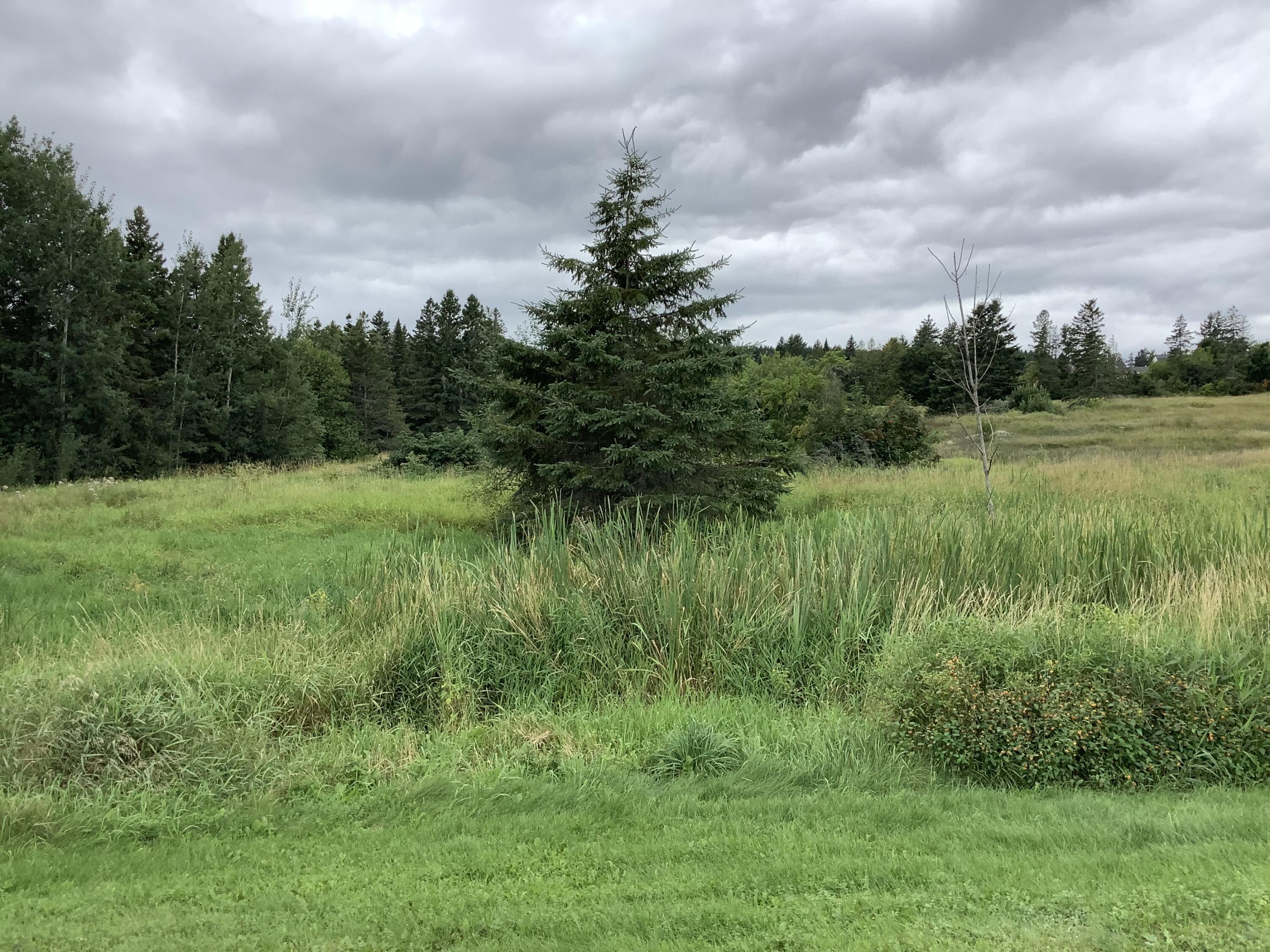 1922 State Road Castle Hill, ME 04757 - Photo 64 of 67 IMG_3089