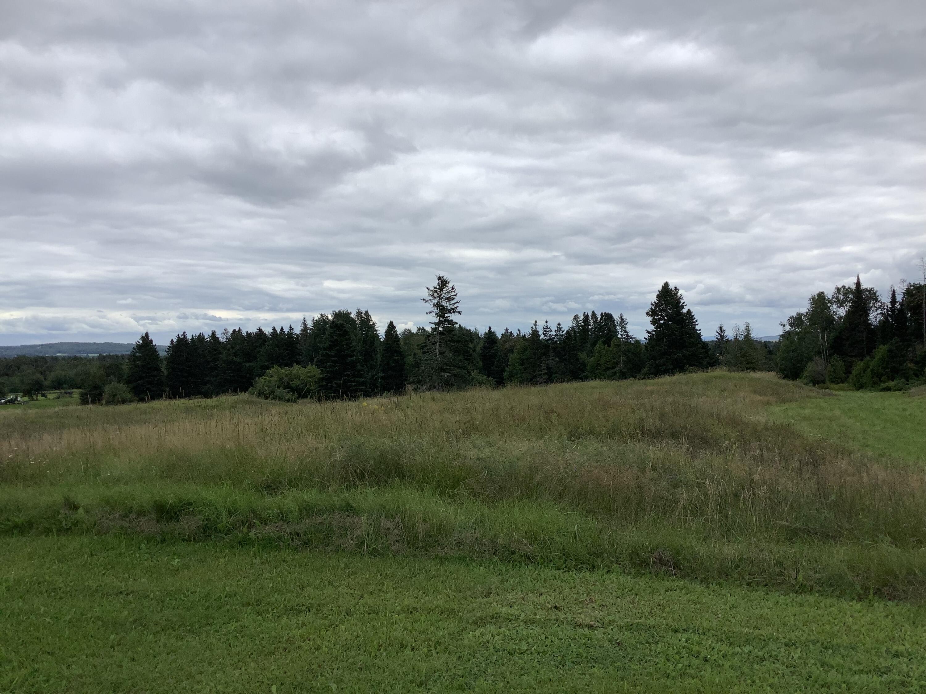 1922 State Road Castle Hill, ME 04757 - Photo 67 of 67 IMG_3093