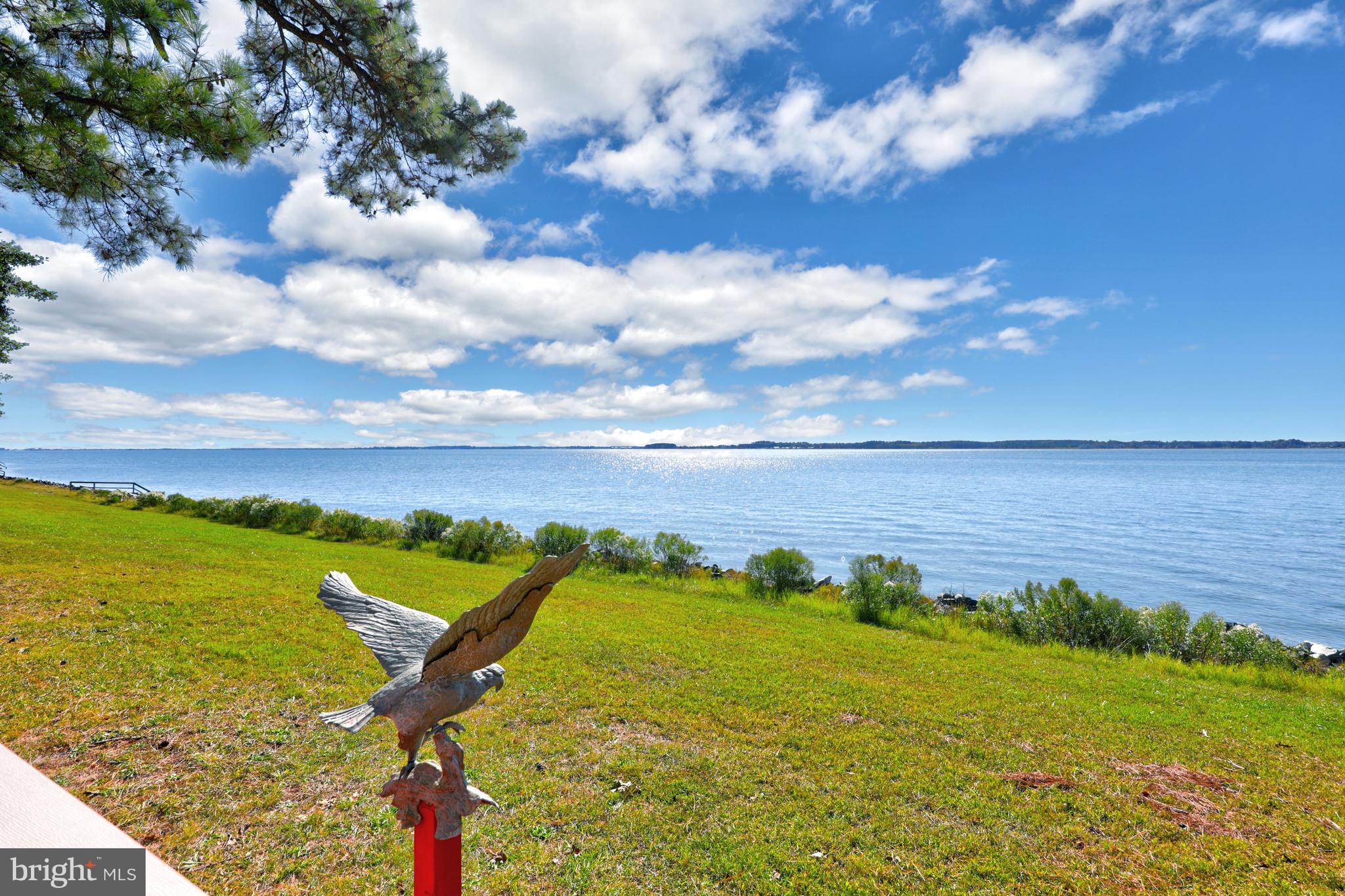 27315 Cottage Road, Unit 19932 Millsboro, DE 19966 - Photo 27 of 77 Views from the Wrap-Around Porch