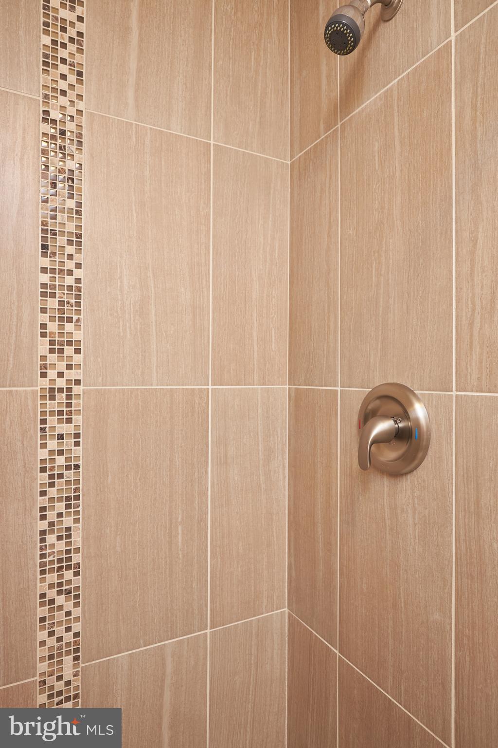 12033 Cheyenne Road Gaithersburg, MD 20878 - Photo 20 of 60 En-Suite Bathroom