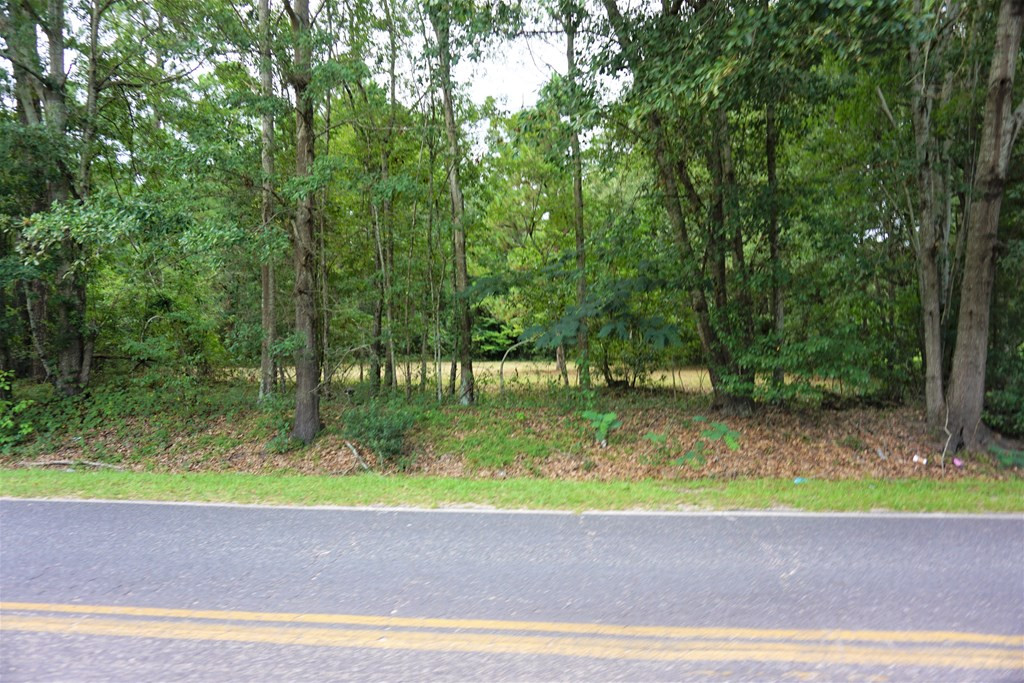 3540 Barkley Road Sumter, SC 29154 - Photo 18 of 20 Gallery Image 18