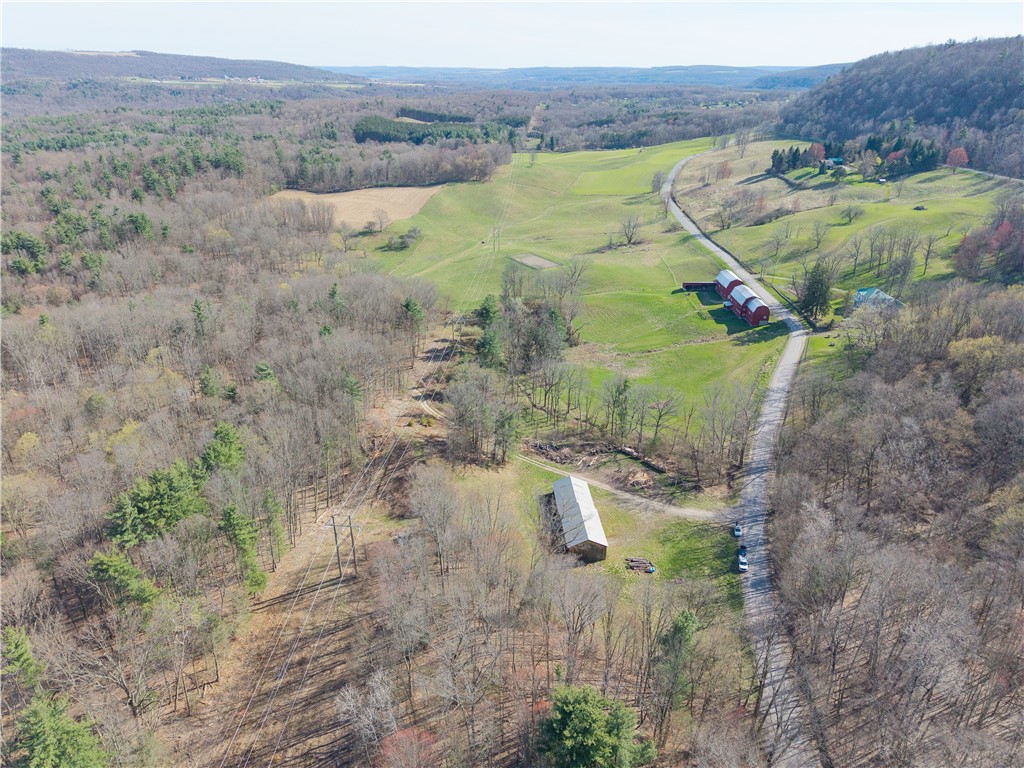 Geiger Road Dansville, NY 14437 - Photo 11 of 27
