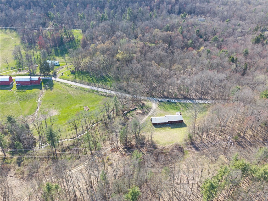 Geiger Road Dansville, NY 14437 - Photo 12 of 27