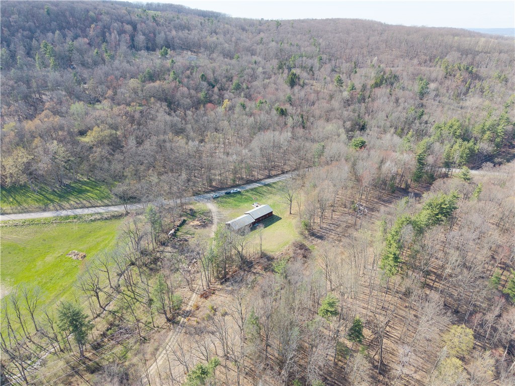 Geiger Road Dansville, NY 14437 - Photo 13 of 27