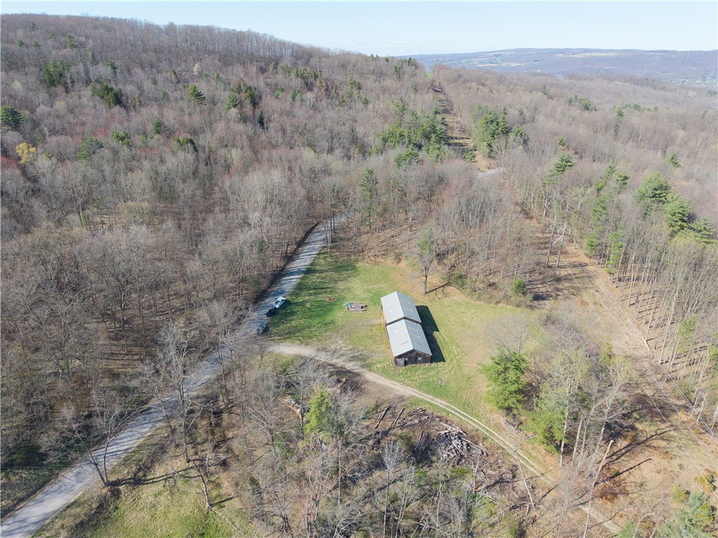 Geiger Road Dansville, NY 14437 - Photo 16 of 27