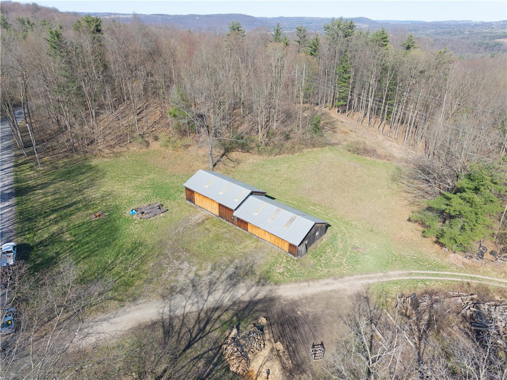 Geiger Road Dansville, NY 14437 - Photo 17 of 27