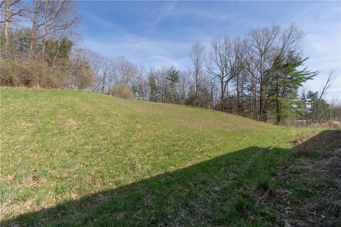 Geiger Road Dansville, NY 14437 - Photo 27 of 27