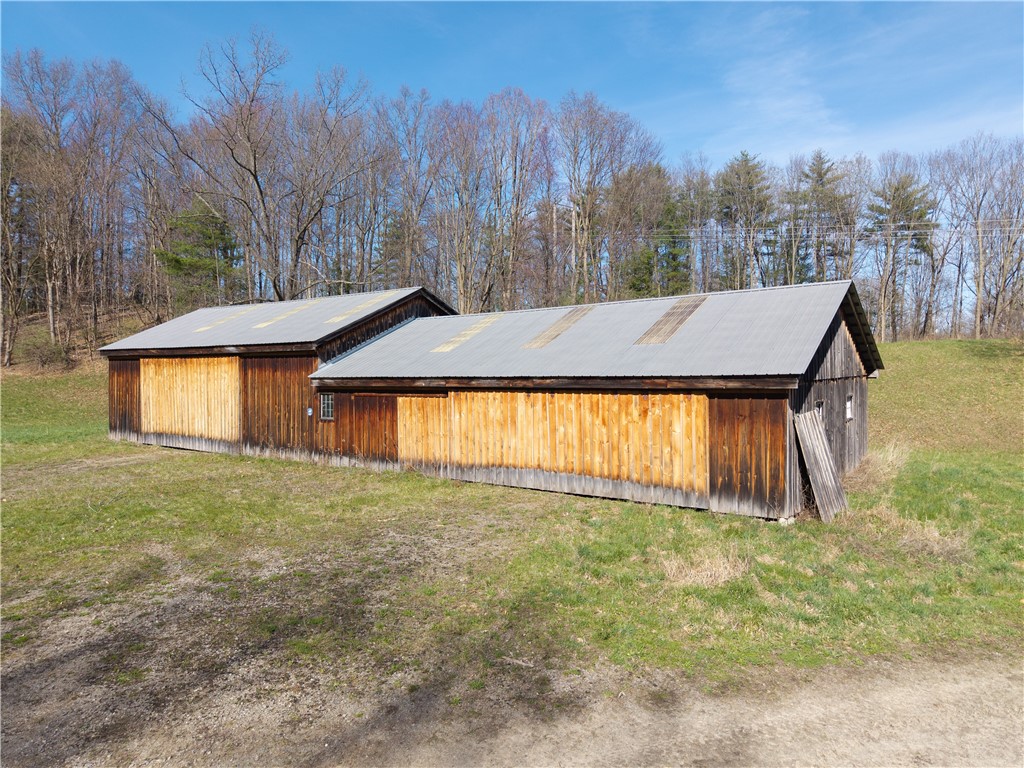 Geiger Road Dansville, NY 14437 - Photo 3 of 27