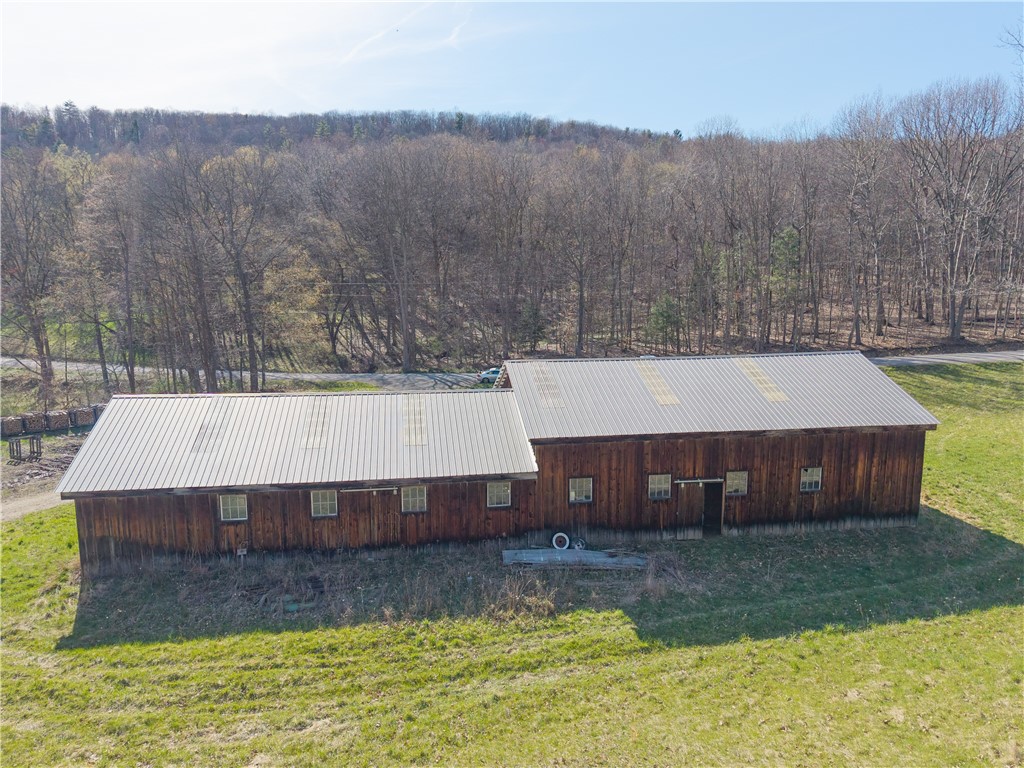Geiger Road Dansville, NY 14437 - Photo 6 of 27