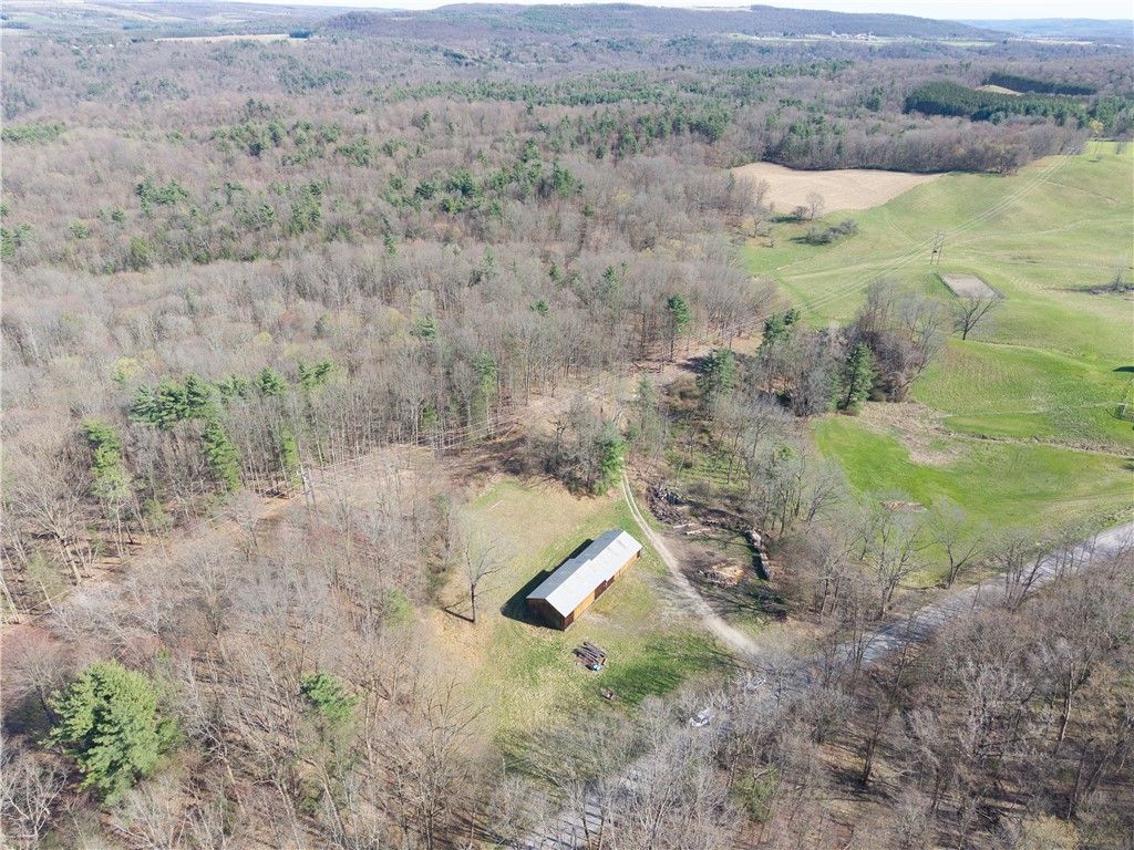 Geiger Road Dansville, NY 14437 - Photo 10 of 27
