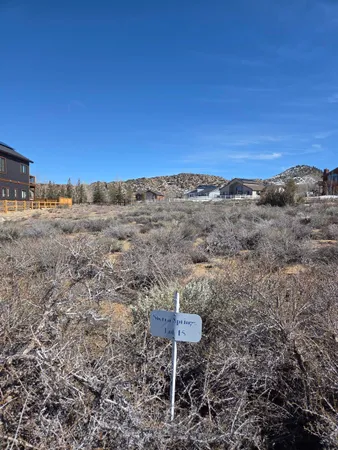 a view of a dry yard with mountains in the background