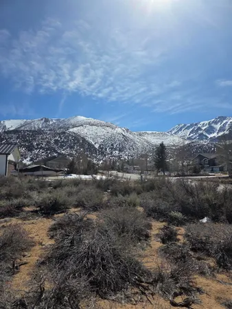 a view of a dry yard