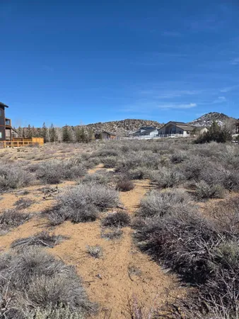 a view of a dry space with lots of trees