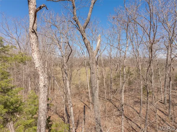 $489,900 | 2442 Linden Point Drive, Innsbrook, MO 63390