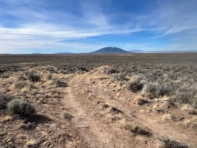 a view of a dry yard