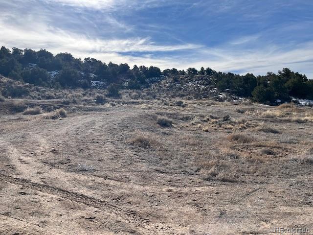 Lot 72 Stagecoach Road San Luis, CO 81152 - Photo 5 of 21 a view of a dry yard with lots of trees